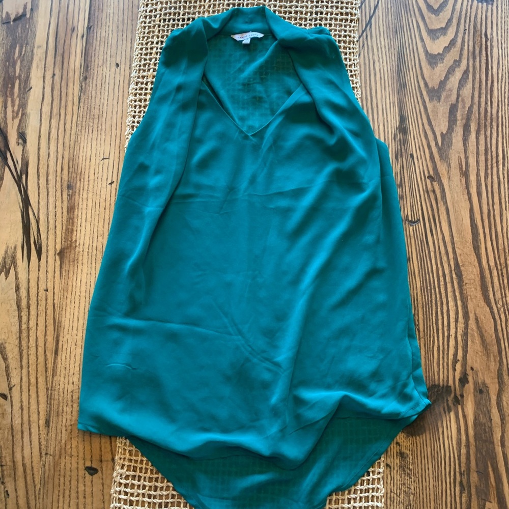 Naked zebra green top